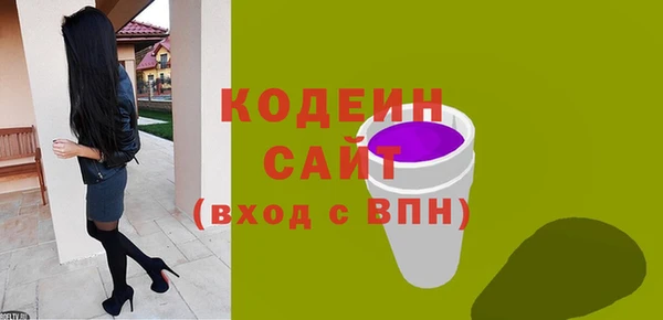 хмурый Кодинск