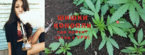 хмурый Кодинск