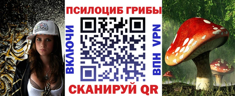 Псилоцибиновые грибы мухоморы  Купить закладки  Кирсанов 